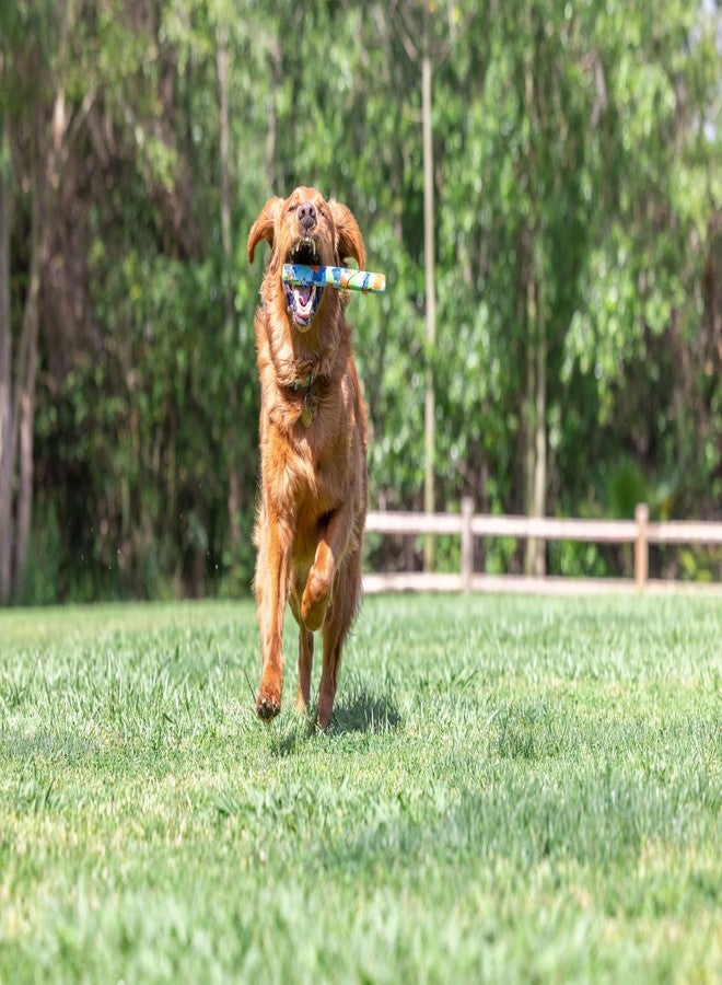 Chuckit! EcoFetch Fetch Stick Dog Toy, Pack of 1, for All Breed Sizes (EcoFetch Stick) - Image 5